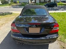 Mercedes-Benz CLK500 Convertible - Photo 5