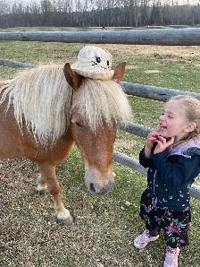 Pony Mare - Photo 3