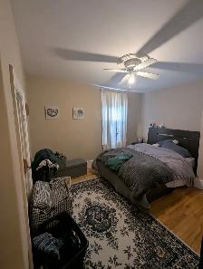 1 Bed   Den in Hintonburg/Wellington Village/Parkdale - Photo 3