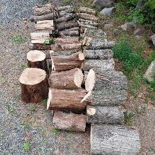 Bois de chauffage idéal pour feux de camping - Photo 2