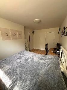 GRAND 4 ½ DISPONIBLE À VILLERAY — 1er JUILLET OU 1er AOÛT 2026 ✨ - Photo 2