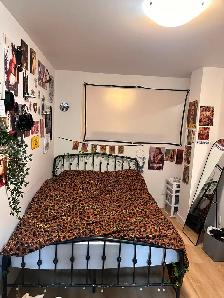 GRAND 4 ½ DISPONIBLE À VILLERAY — 1er JUILLET OU 1er AOÛT 2026 ✨ - Photo 6