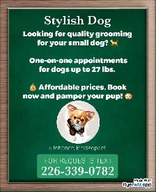 Grooming for mini and small dogs