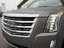 2019 Cadillac Escalade Platinum - Photo 3