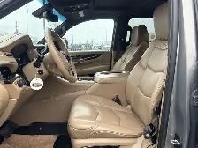 2019 Cadillac Escalade Platinum - Photo 14