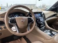 2019 Cadillac Escalade Platinum - Photo 15