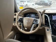 2019 Cadillac Escalade Platinum - Photo 25