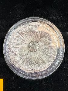 .999 Fine Silver Remembrance Day Coin(s) x2 Available - Photo 5