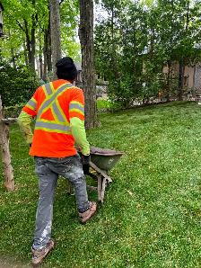 Landscapers  needed