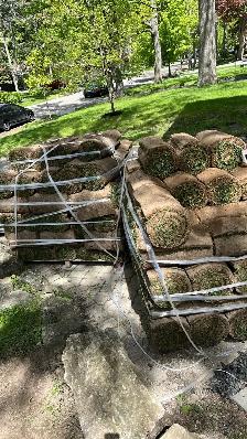 Landscapers  needed - Photo 3