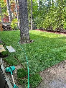Landscapers  needed - Photo 4