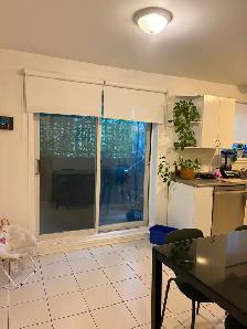 Superbe bas de triplex 5 et demi lumineux à St-Hubert (Laflèche) - Photo 2