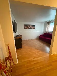 Superbe bas de triplex 5 et demi lumineux à St-Hubert (Laflèche) - Photo 8