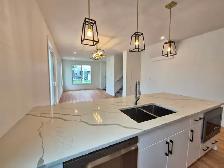 BEAUTIFUL NEWLY BUILT 3-BEDROOM TOWNHOMES FOR RENT IN EDMONTO - Photo 3