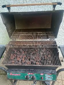 Absolutely mint bbq - Photo 2
