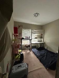 Private bed bath in Metrotown. Up to 1.5 months Free Rent Offer - Photo 5