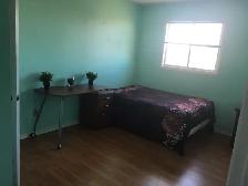 sharing room near Sheridan college - Photo 2
