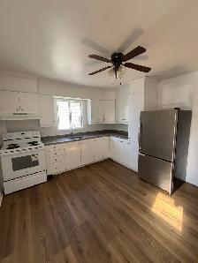 256 Hamilton Street, Unit A: 2 Bedroom (Hawkesbury) - Photo 5