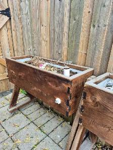 HighRise Self-Watering Planter - Photo 3