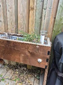 HighRise Self-Watering Planter - Photo 4