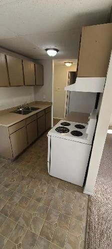 MAIN FLOOR – 1 BDRM – CAT FRIENDLY - Photo 2