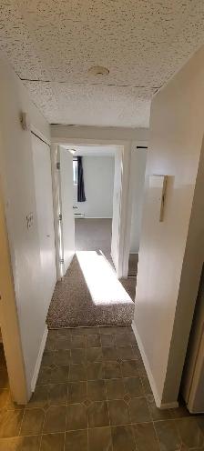 MAIN FLOOR – 1 BDRM – CAT FRIENDLY - Photo 4