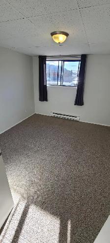 MAIN FLOOR – 1 BDRM – CAT FRIENDLY - Photo 6