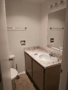 MAIN FLOOR – 1 BDRM – CAT FRIENDLY - Photo 8