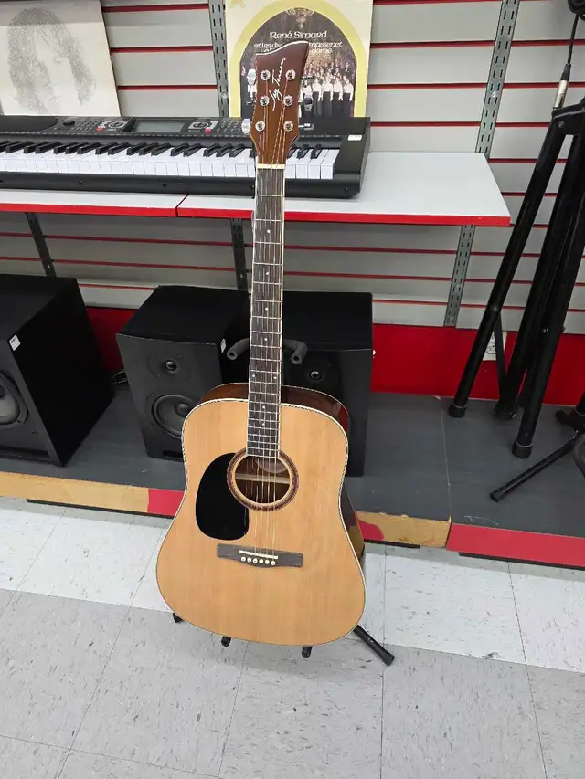 guitare acoustique Jay Turser