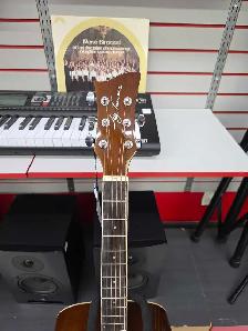 guitare acoustique Jay Turser - Photo 2