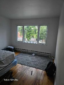 appartement 3 1/2 a louer