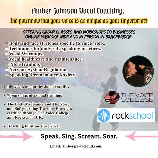 Vocal Workshops for Local Businesses. (Safe Speaking Practices.)