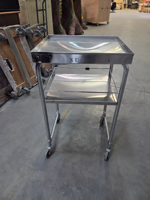 Stainless Steel 2 Tier Rolling Trolley