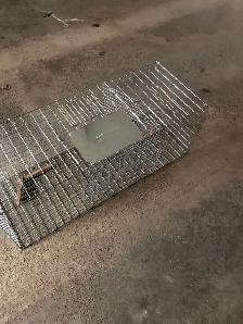 magpie trap - Photo 3