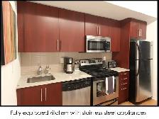 Furnished 1 BD Luxury Condo - Maple Leaf Square Downtown Toronto - Photo 5