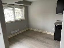 NEWLY RENOVATED, OPEN CONCEPT, BACHELOR BASEMENT APARTMENT - Photo 2