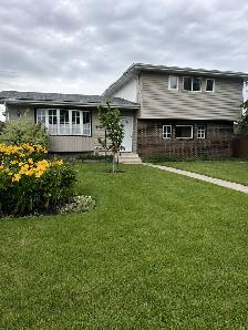 FOR SALE HOUSE LOCATED IN McQueen EDMONTON