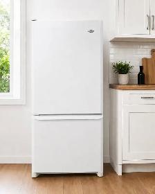 TRÈS BEAU FRIGO EN EXCELLENT CONDITION 438-878-5798