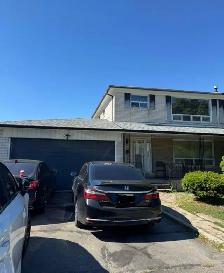 Basement for rent in Malton