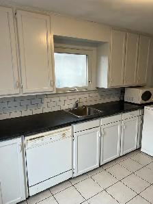 3 bedroom apartment for rent - Photo 10