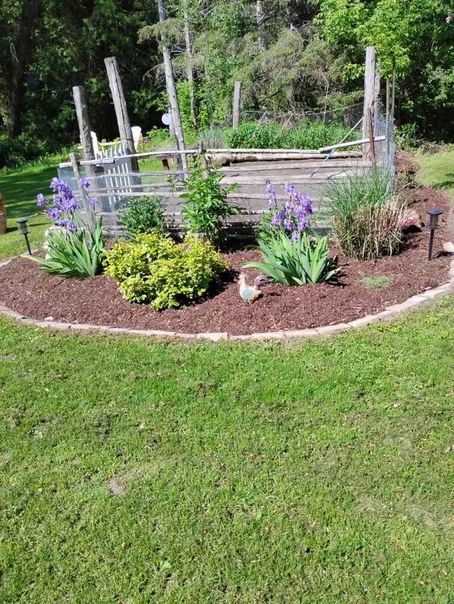 GARDENER AVAILABLE $20 HOUR