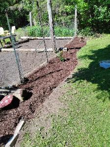 GARDENER AVAILABLE $20 HOUR - Photo 2