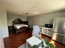 Master Bedroom for rent close to Square One - Photo 4