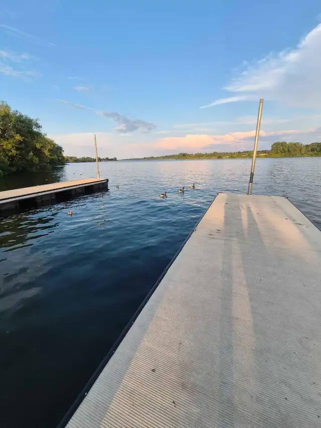 Looking for a room to Rent