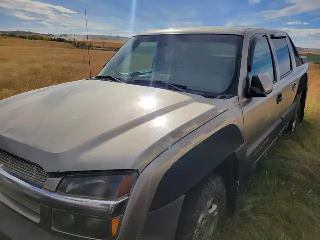 Chev trail fox  avalanche for sale