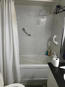 Spacious 2-Bedroom and 2- Washroom  Basement Apartment for Rent - Photo 6