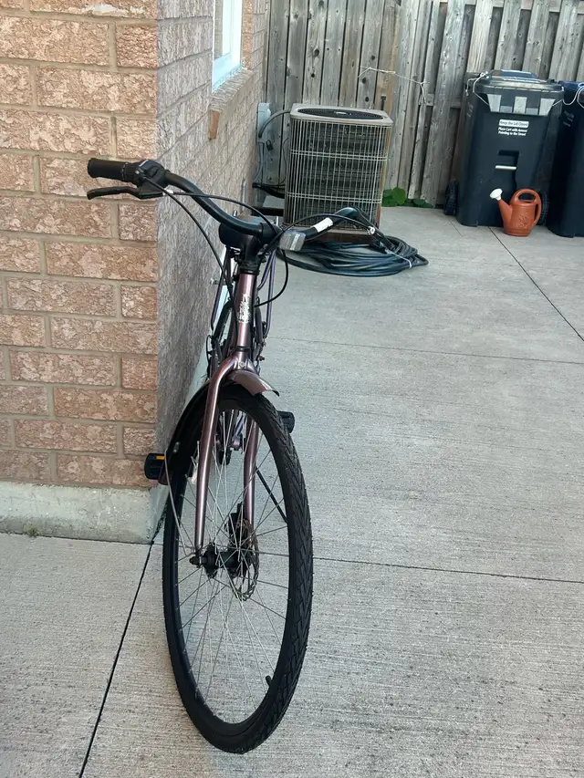 Raleigh Bike 26 Inches