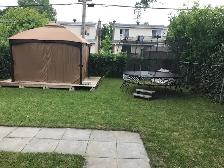 Lawnmowing and Yard cleaning service - Photo 4