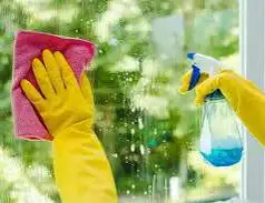 Best house cleaning &Organizing service  $35/H (supplies