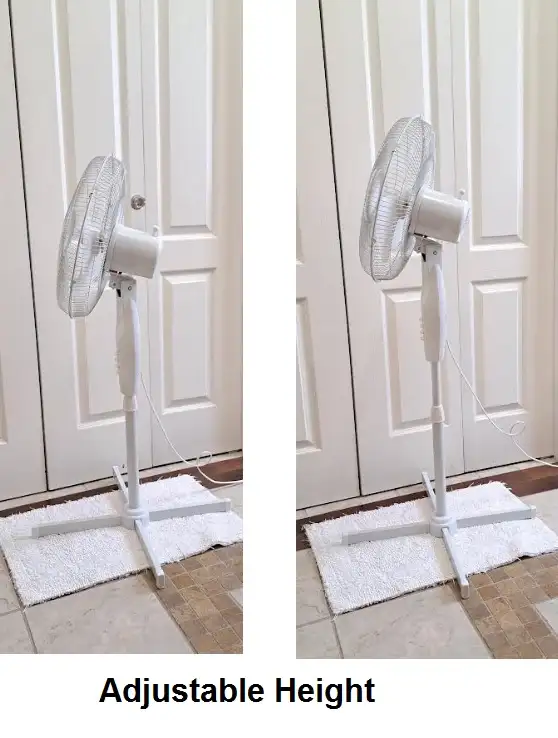 Fan